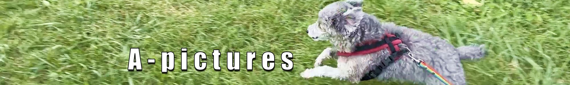 映像の基礎力学